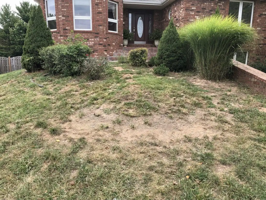 Before the work: curved brick wall with steps up to the front walk